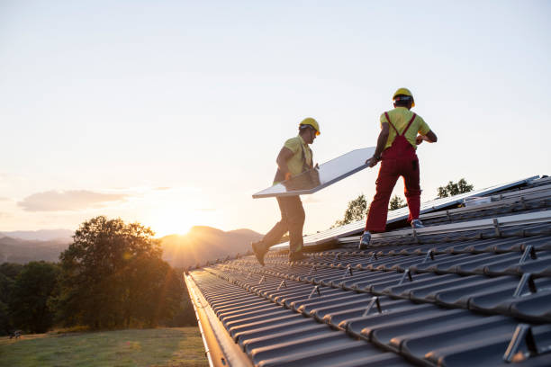 Best Roof Insulation Installation  in Lumbine Valley, CO